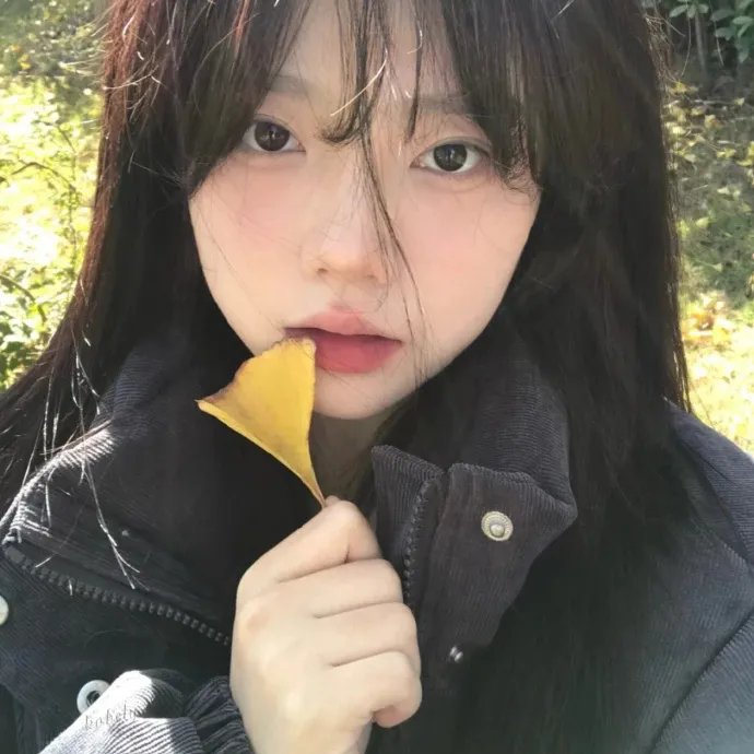 模范爱侣